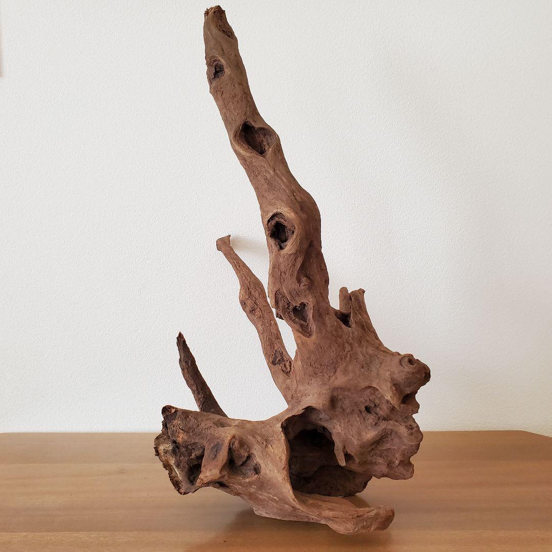 【353】流木　インテリアや爬虫類などに　止まり木　アクアリウム