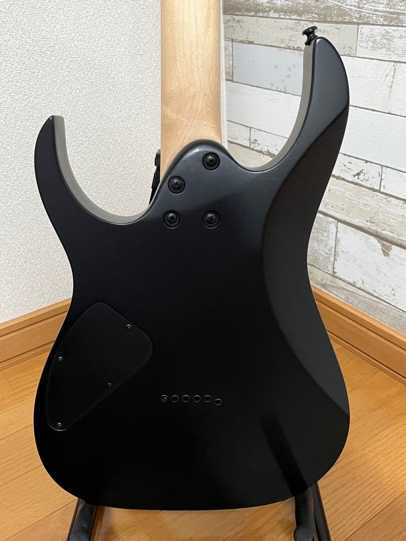 Ibanez RG421EX-BKF エレキギター