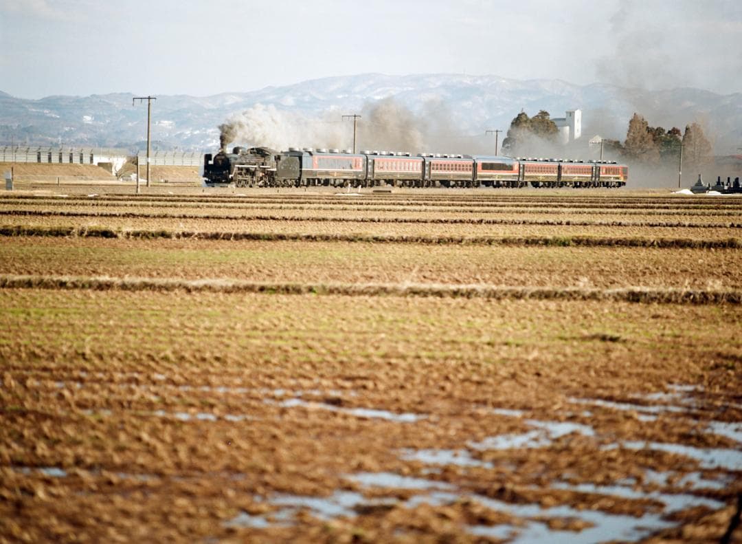 【実写確認済整備品】マミヤM645／セコールC80mmf4付