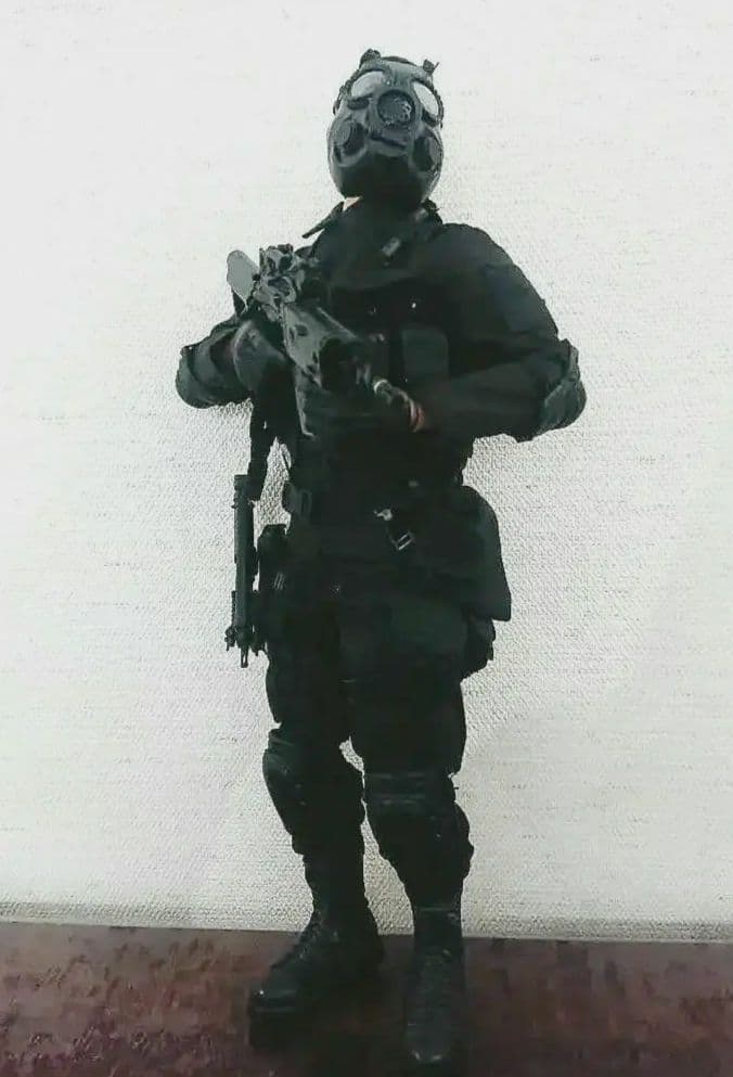 1/6 カスタムフィギュア 素体:DAMTOYS製 早い者勝ち