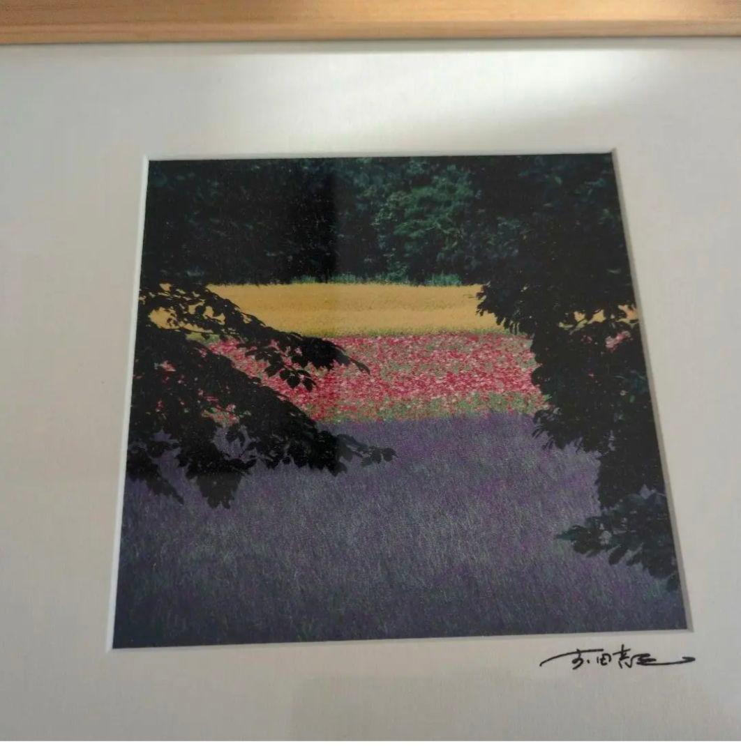 夏の花園 前田真三