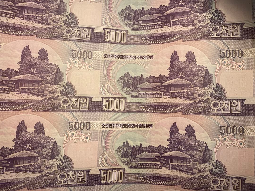 北　造幣局　希少　未発行