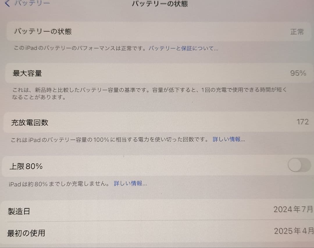 U*O様 Apple iPad mini A17pro 第7世代 パープル128