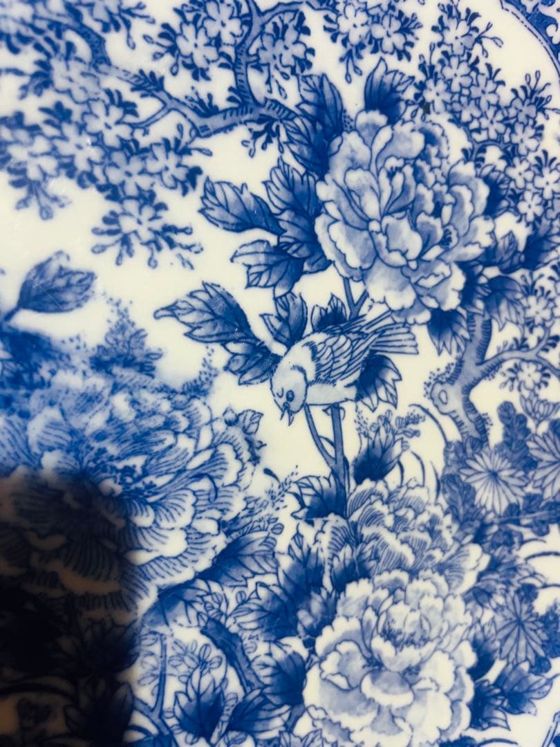 花鳥絵の大皿⭐︎古伊万里