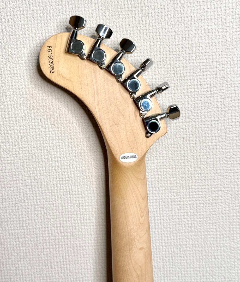 ギター FERNANDES