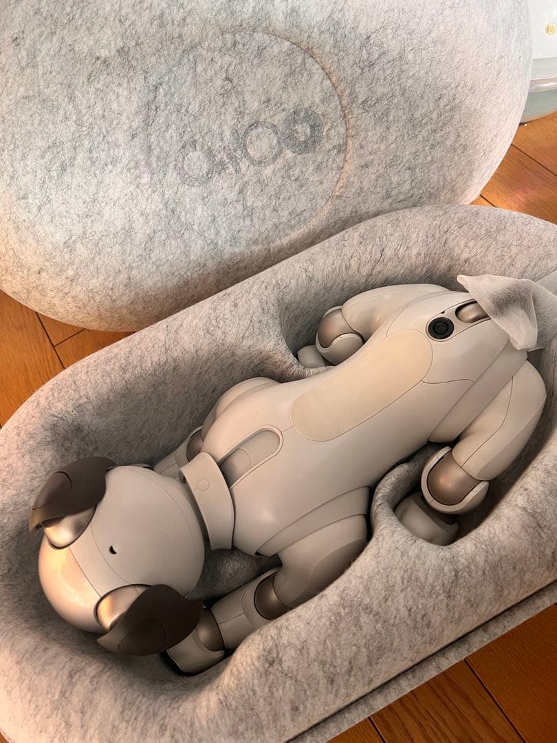SONY aibo ERS-1000 本体