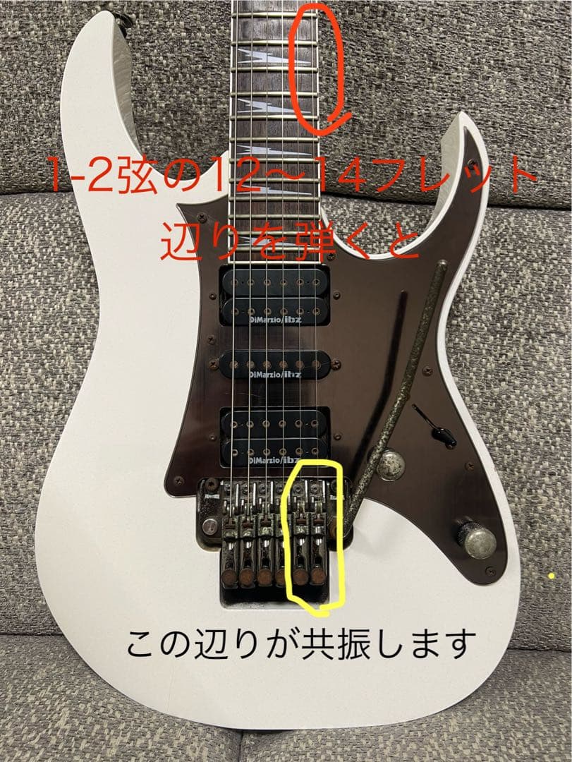 Ibanez Prestige RG2550ZGW 専用ハードケース付