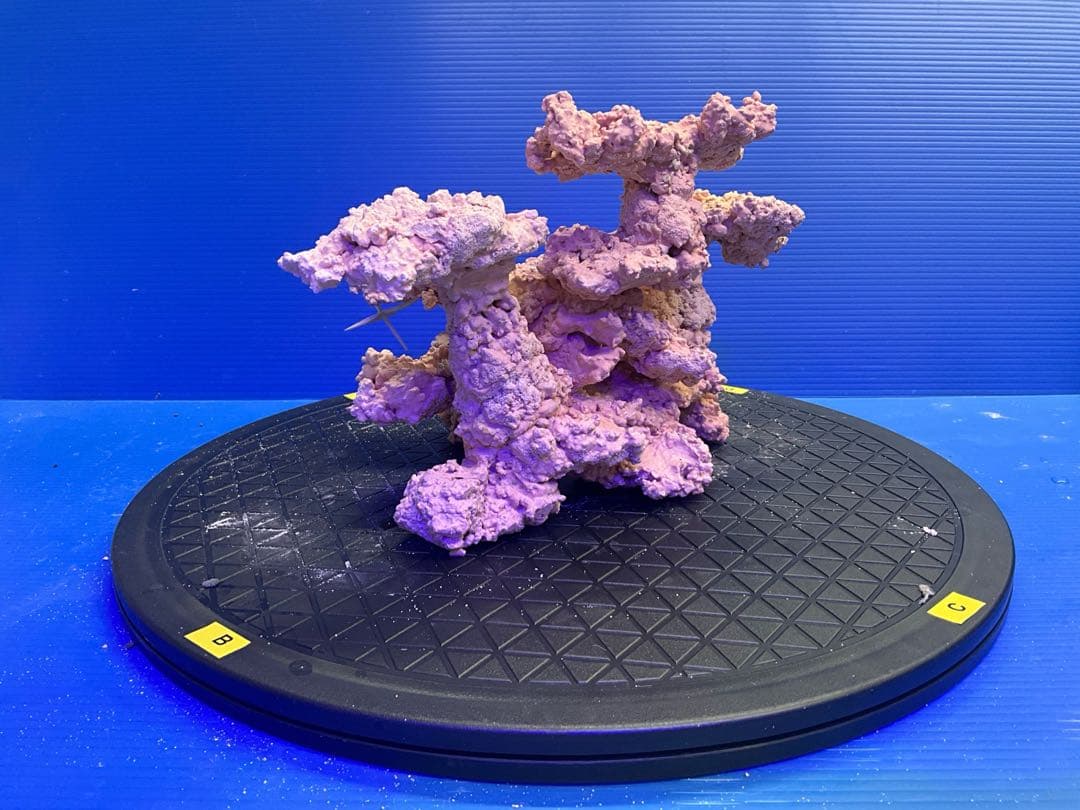 人工ライブロック. No.9-8 無害化処理済