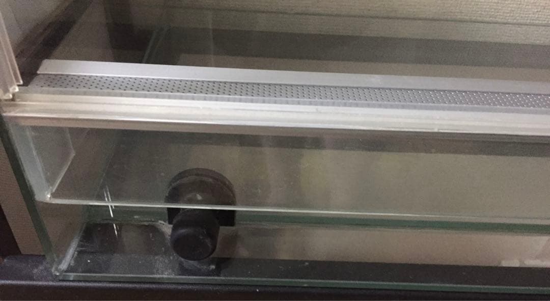 Rain Forest PCP6045 パルダリウムケージ お値下げ可能