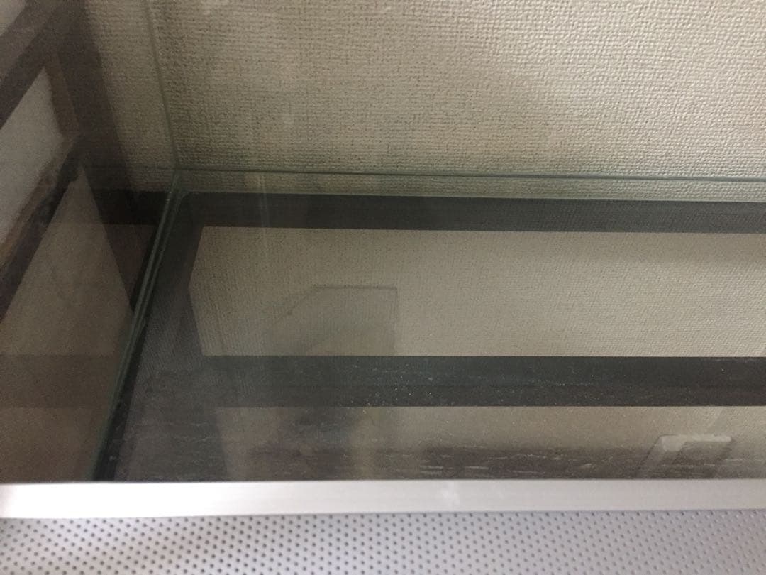 Rain Forest PCP6045 パルダリウムケージ お値下げ可能