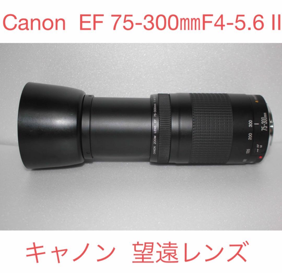 スポーツ☆望遠レンズ☆イベント☆Canon EF75-300㎜