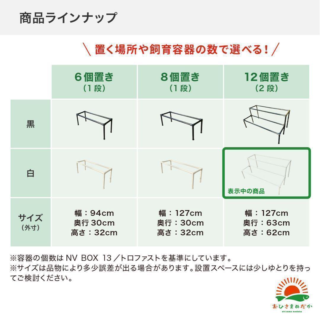 SALE★メダカ飼育ラック白2段12個置き★ めだか飼育棚NVBOXビオトープ