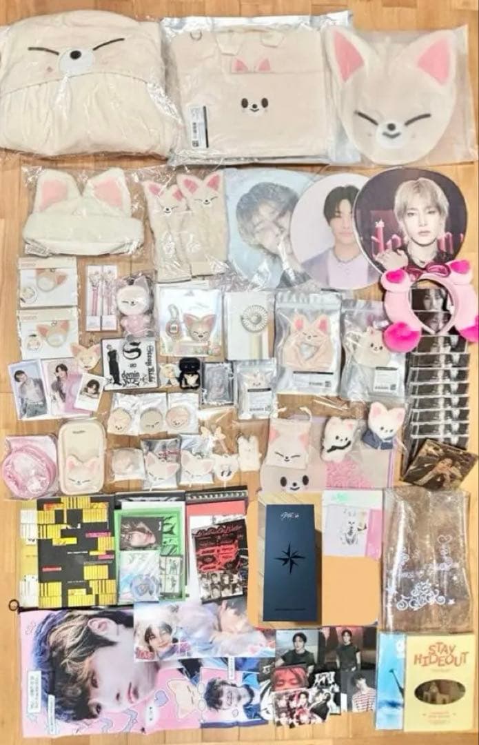 stray kids スキズ　アイエン　フォクシーニー　SKZOO ペンミ