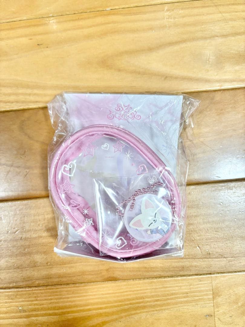 stray kids スキズ　アイエン　フォクシーニー　SKZOO ペンミ