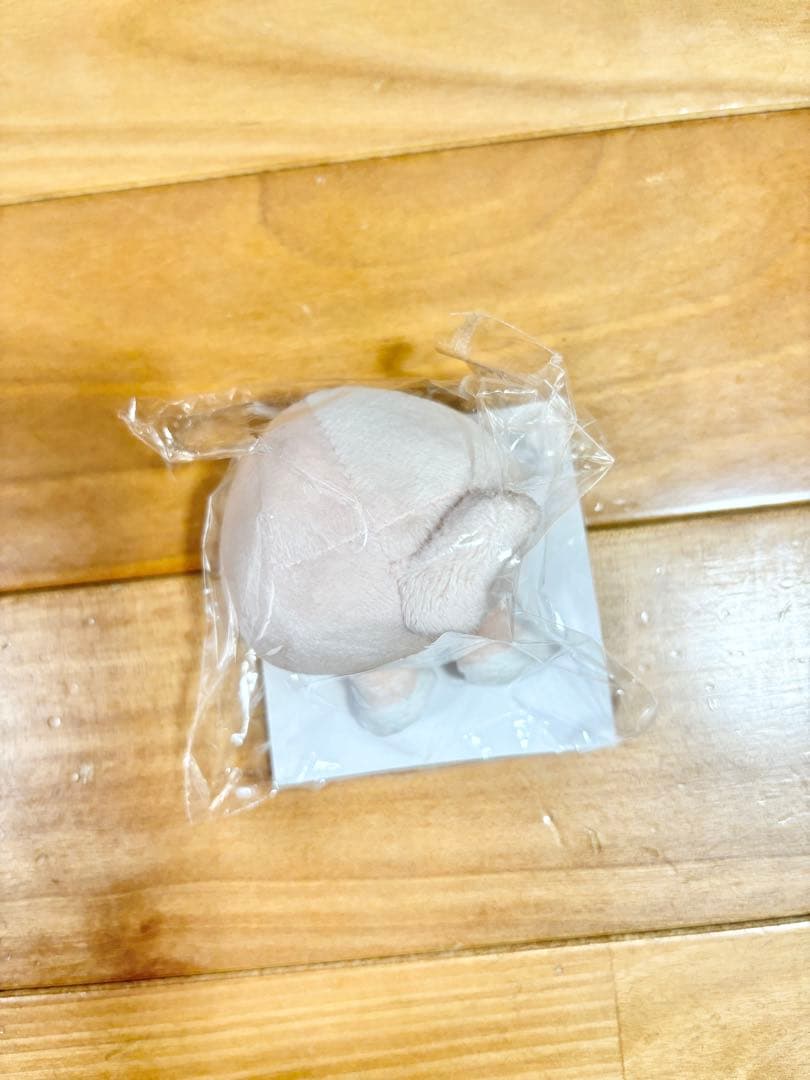 stray kids スキズ　アイエン　フォクシーニー　SKZOO ペンミ