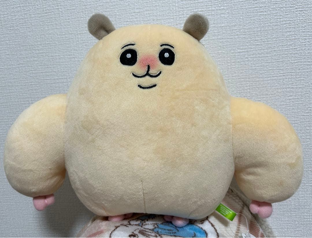 ムキムキのハムちゃん ほがらかいぬねこ BIGぬいぐるみ　ラウンドワン限定