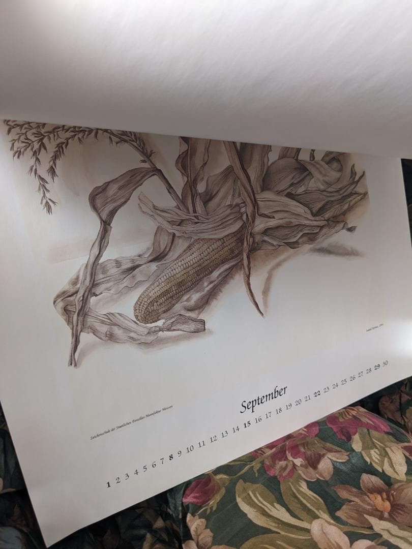 マイセン　カレンダー