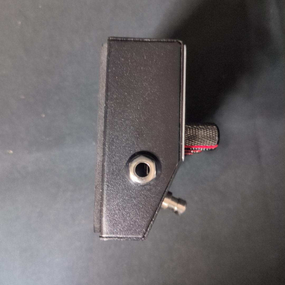 ギター EDEN GLOWPLUG