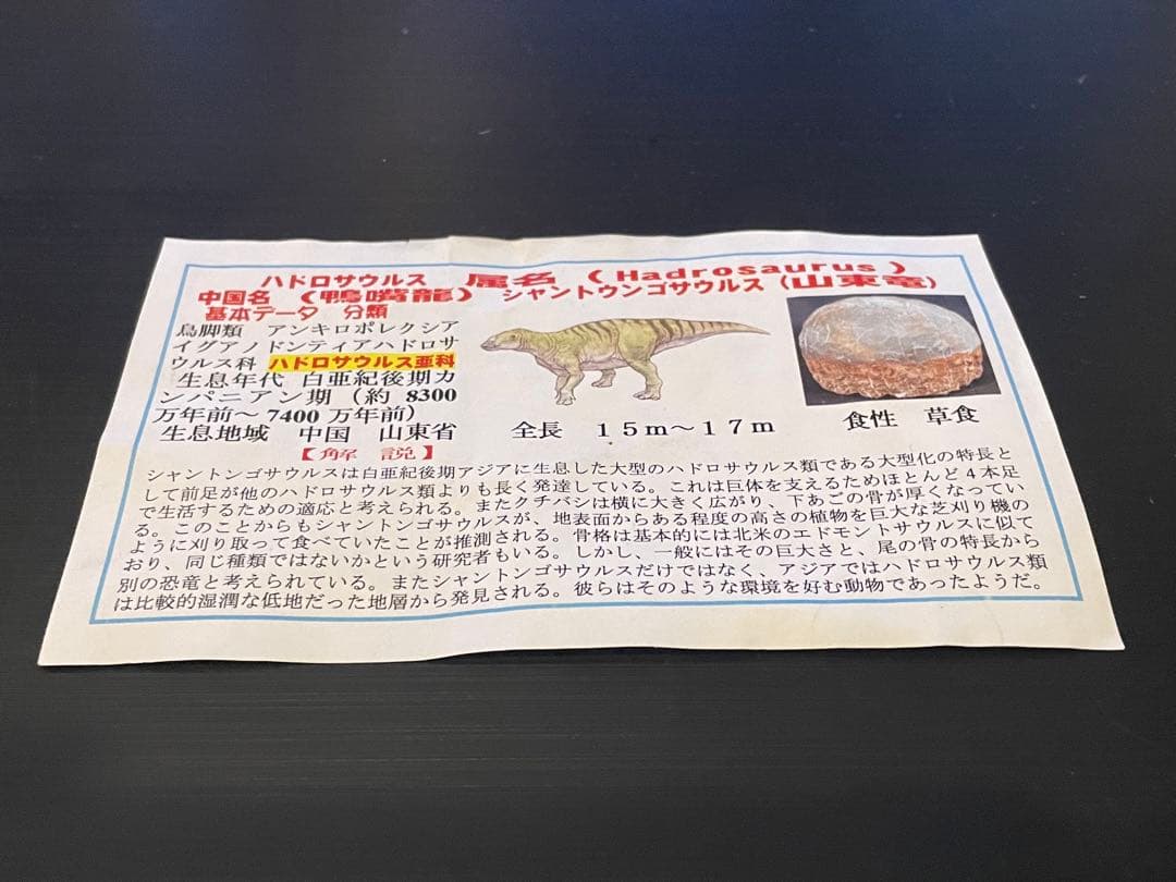 ☆クリスマス特価☆ 赤字☆【入手困難】博物館クラス ハドロサウルスの卵の巣8個