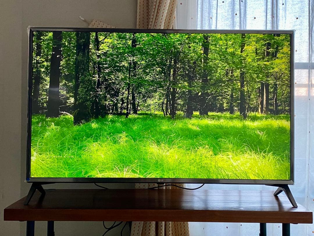 4K対応 Wi-Fi アプリ多数 43インチ液晶テレビ LG 43UJ6100