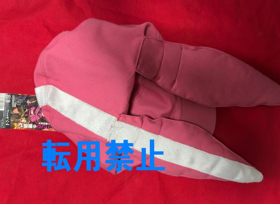 【送料無料・未使用品・レア】ガンゲイルオンライン SAO LLENN 帽子