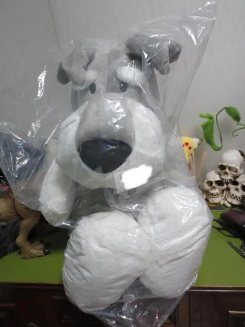 【限定品】NICI　ニキ　シュナウザー　ぬいぐるみ　驚愕！80㎝！正規品