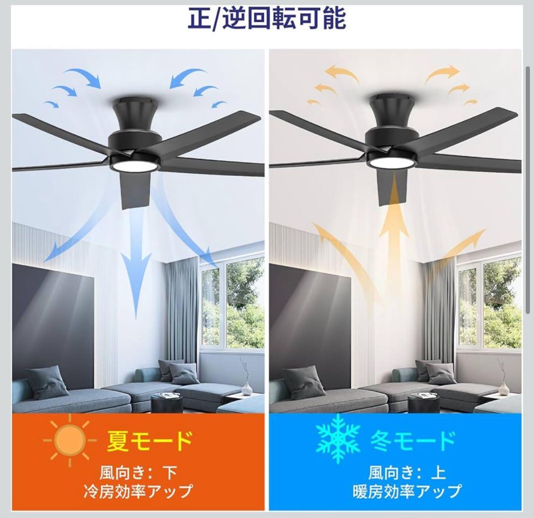 ブラックシーリングファンライト DCモーター