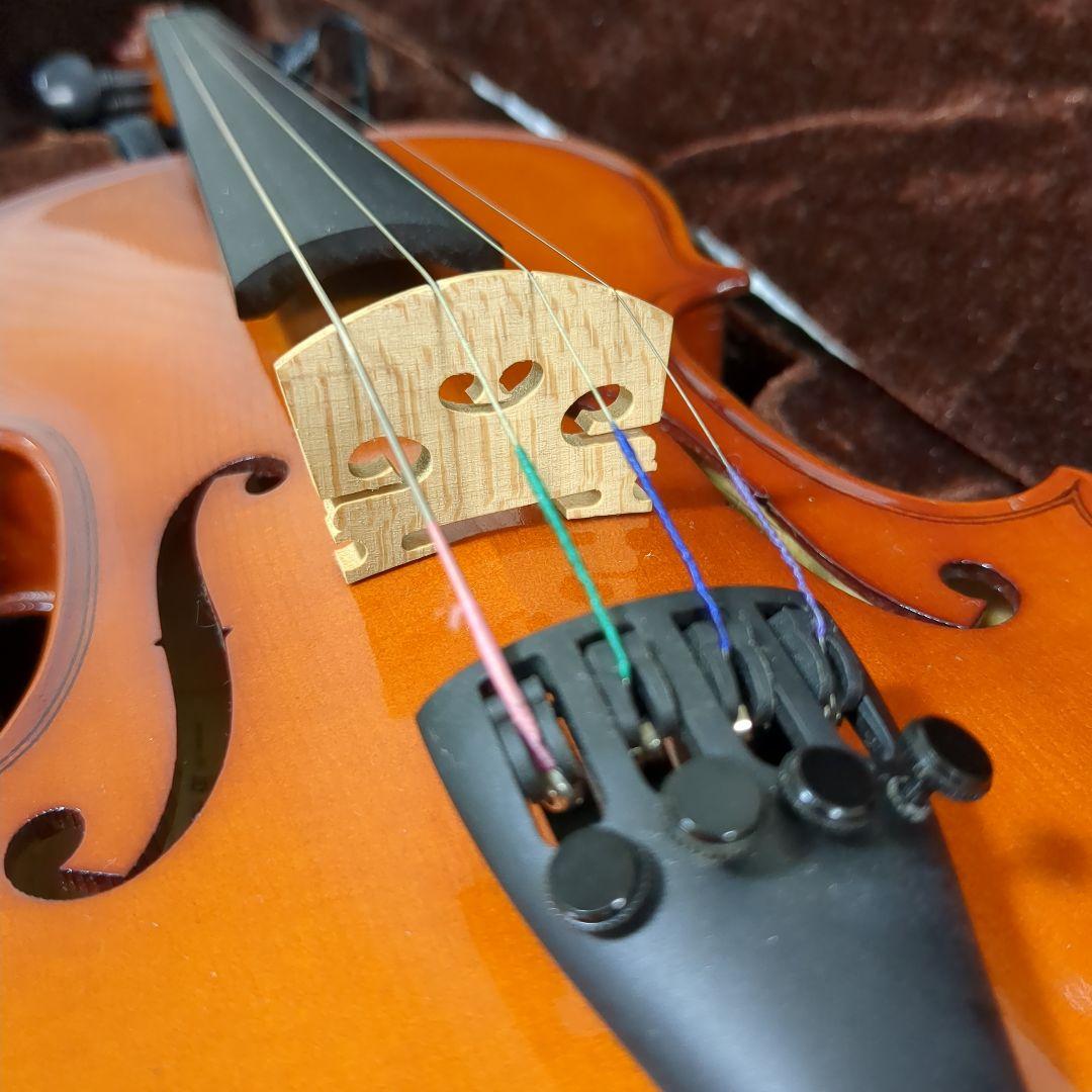 Carlo giordano VS-1 1/2 カルロ ジョルダーノ 2016年