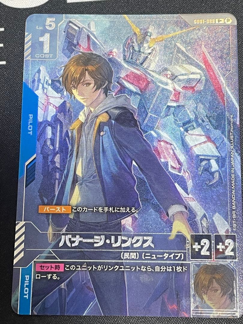 バナージ・リンクス パラレル