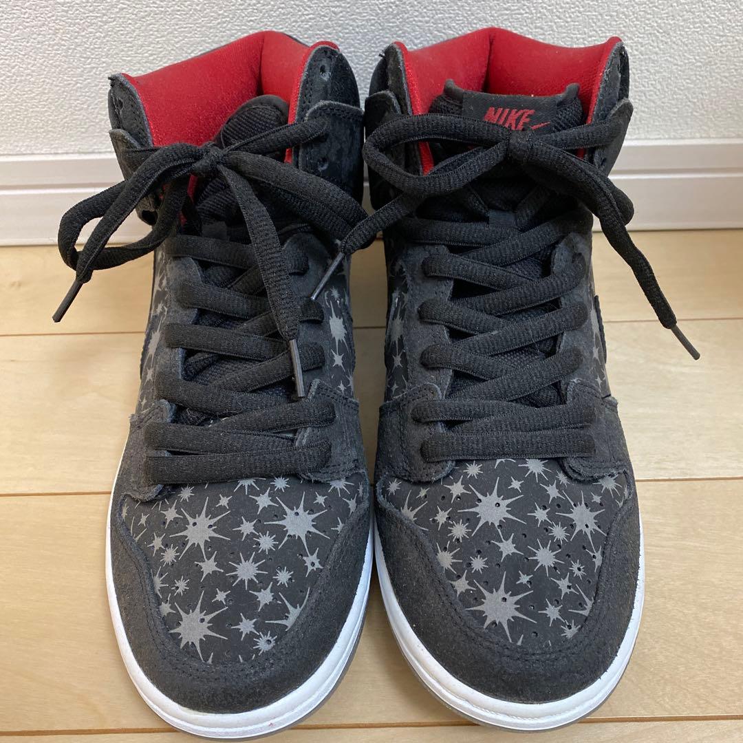 NIKE dunk sb hi ブルックリンプロジェクトパパラッチ8(26cm)