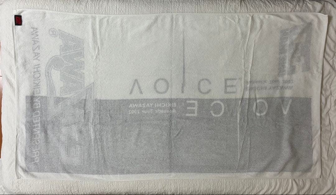 矢沢永吉 2002年「VOICE Acoustic tour」 SBT&FT