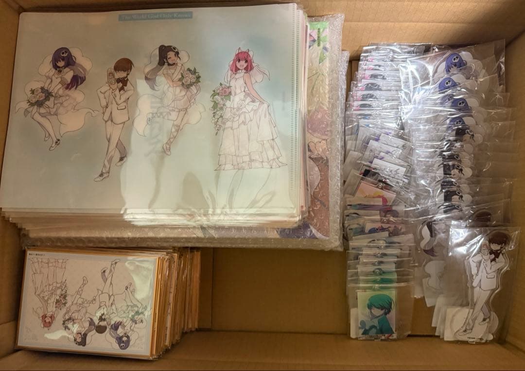 神のみぞ知るセカイ