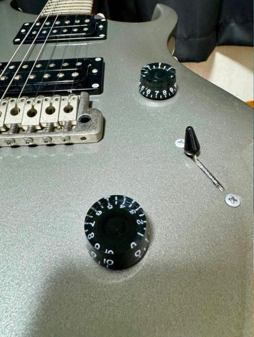 PRS SE STANDARD 24 Platinum ポールリードスミス