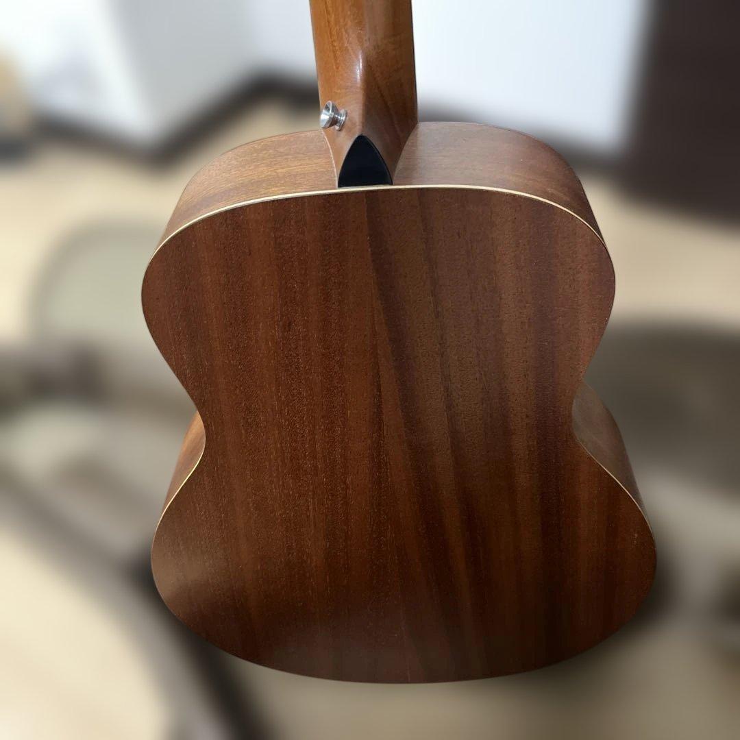 Taylor GS Mini ケース付