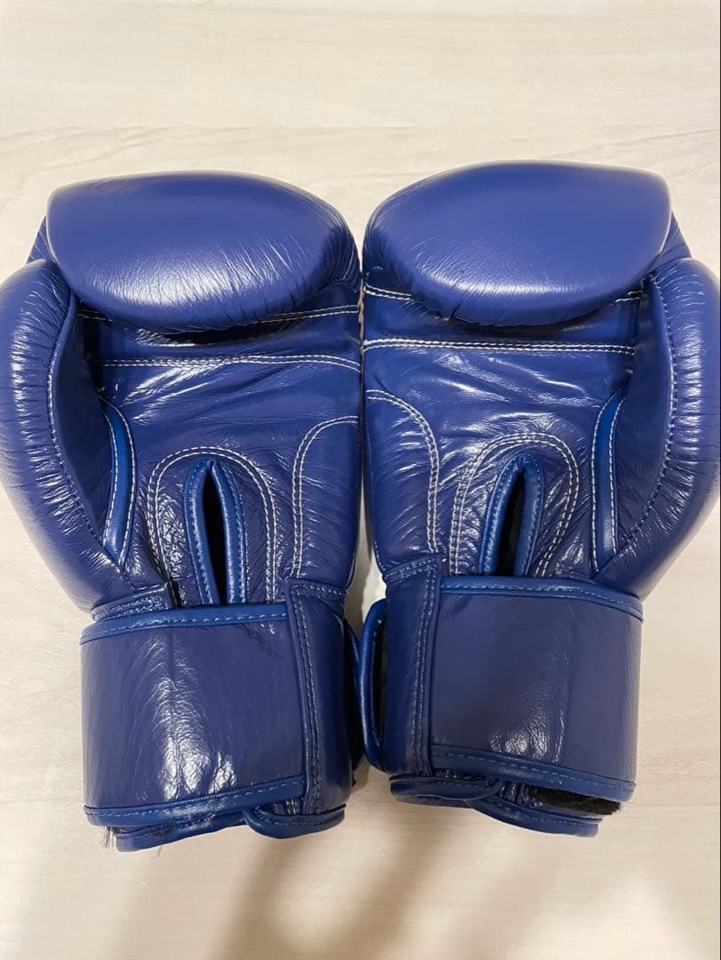 WINDY ボクシンググローブ 12oz BGVH 青