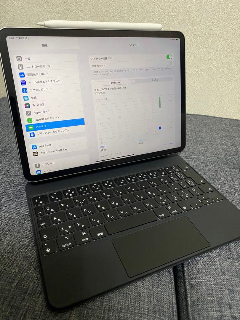 ぬ*に様 iPad Pro 11インチ 第4世代 フルセット