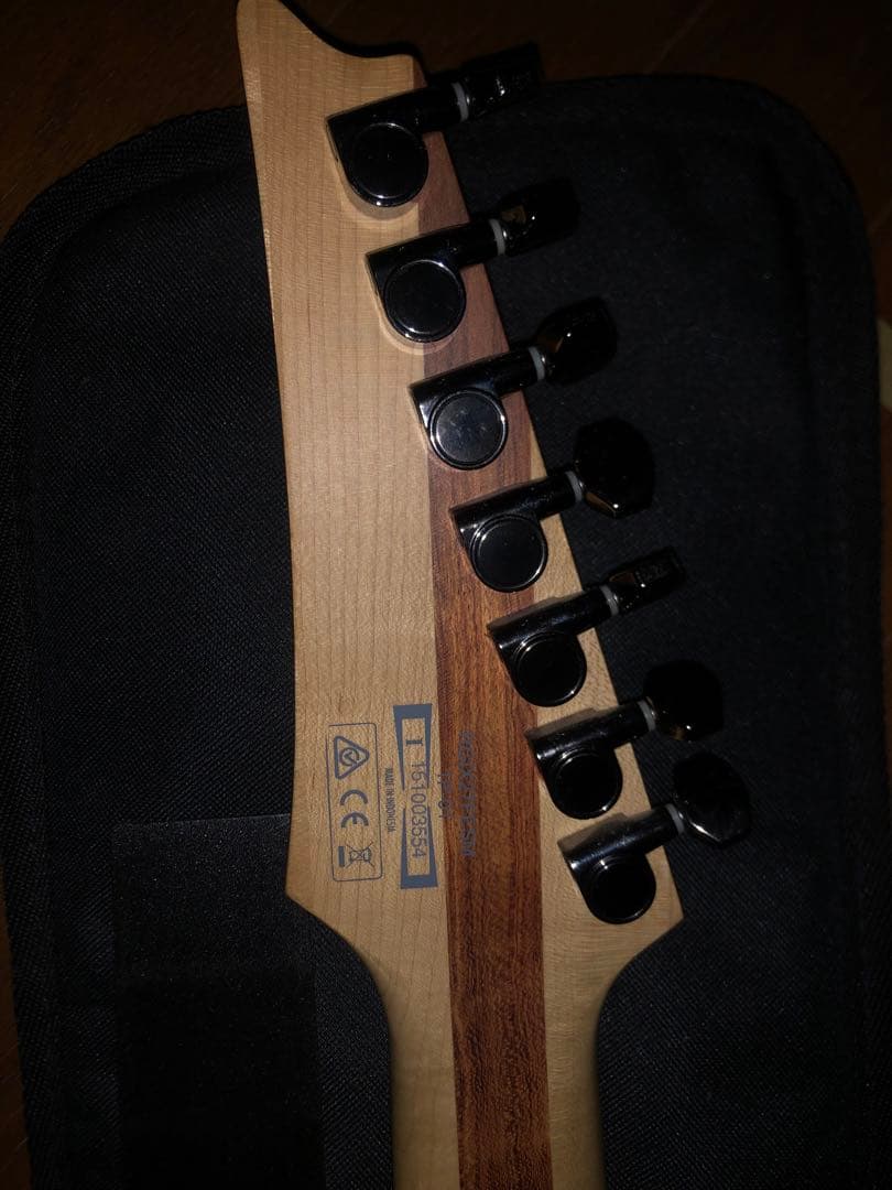Ibanez RGIX27FESM 1P-01 7弦ギター