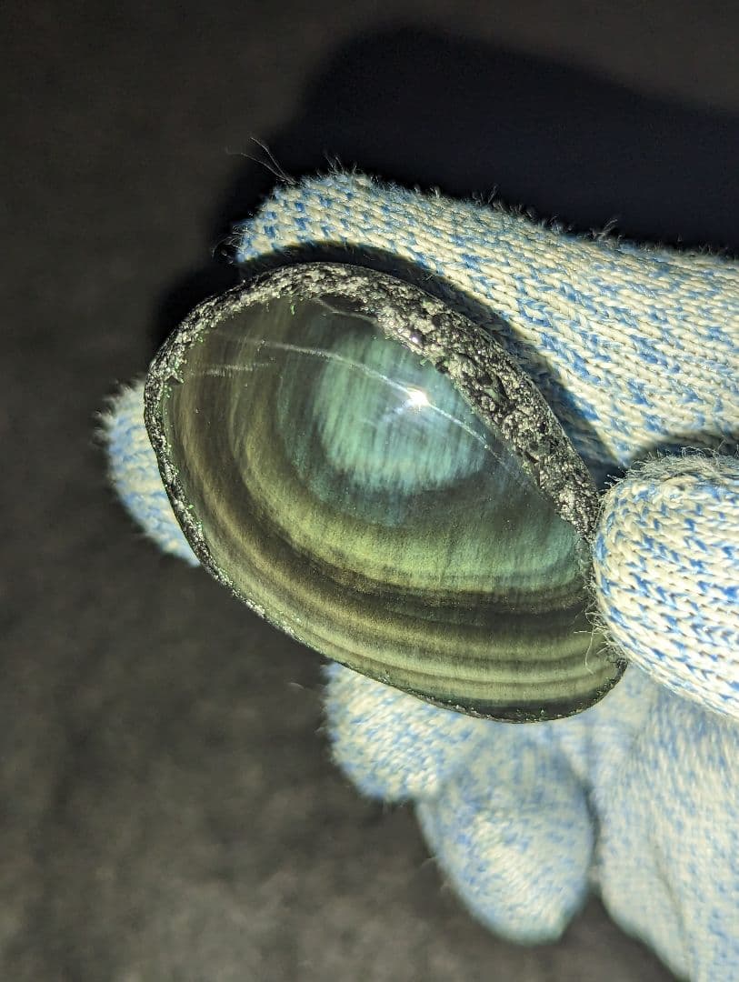 【研磨品】十勝石玲瓏　北海道産レインボーオブシディアン　十勝石　玲瓏石