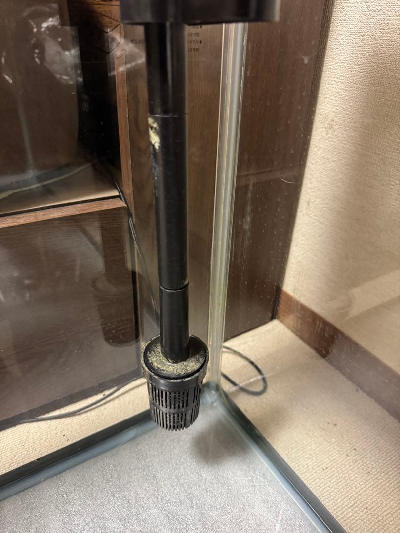 直接引取り限定GEX90ガラス水槽