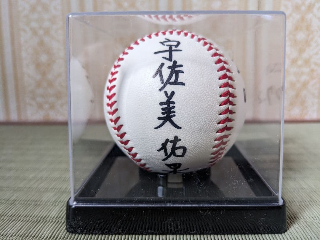 user_a71f61c5様追加商品