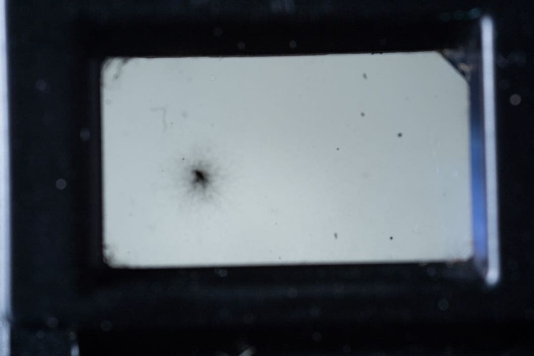 Canon AE-1 program フィルムカメラ 50mmレンズ付