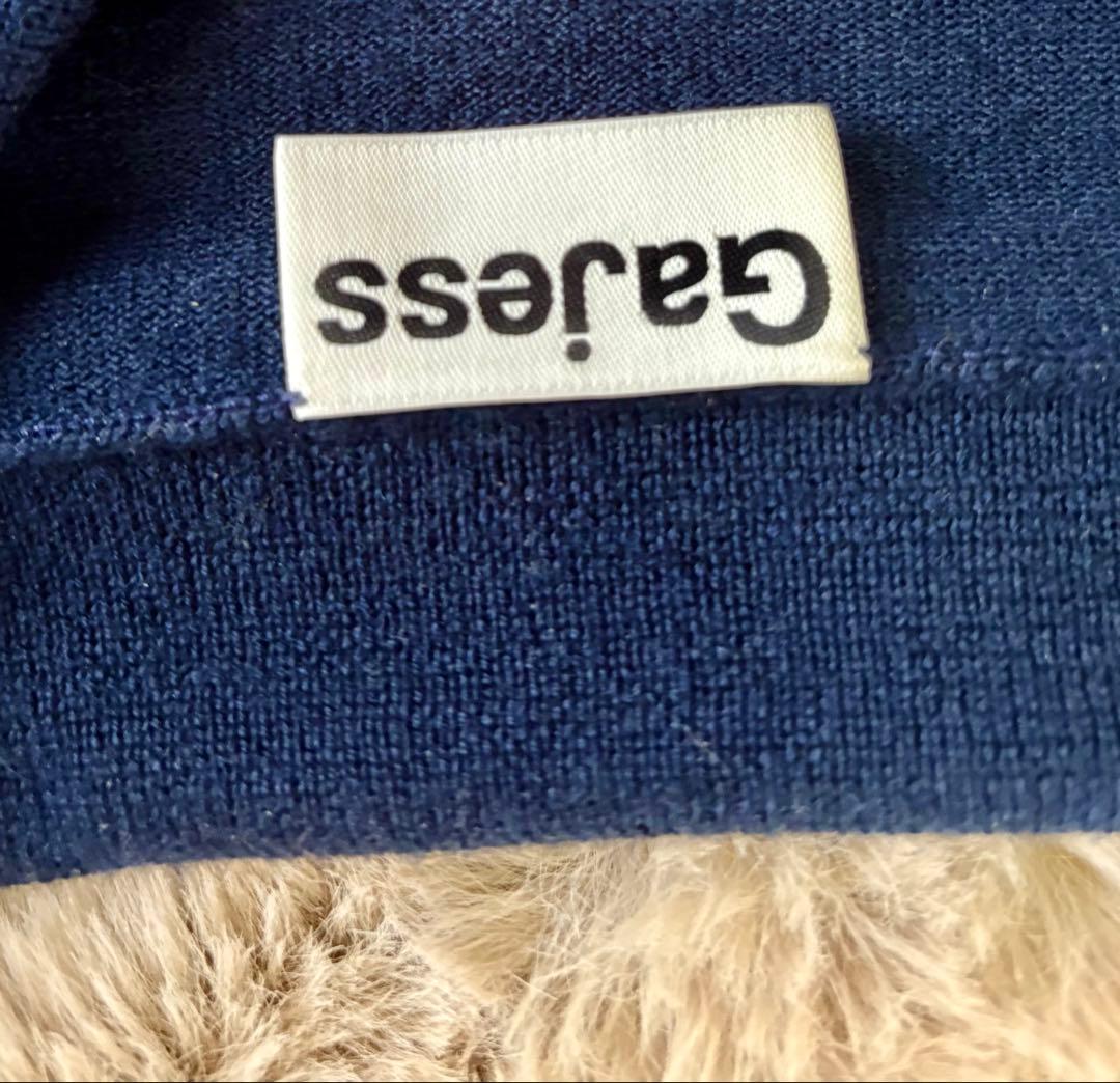 gajess ガジェス　カノンロゴ ポロニット