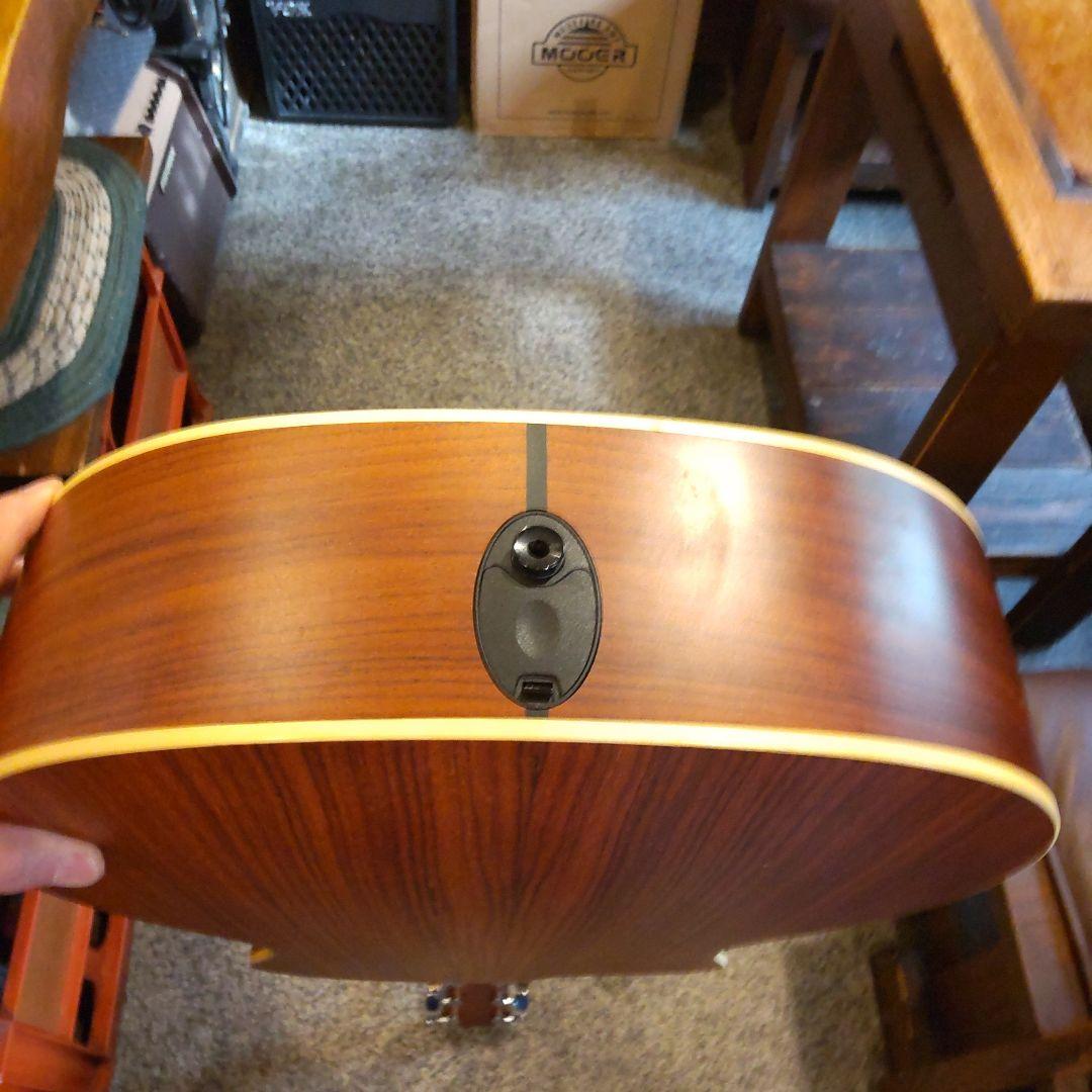 Taylor 214ce-G エレアコ （管理ワテ）