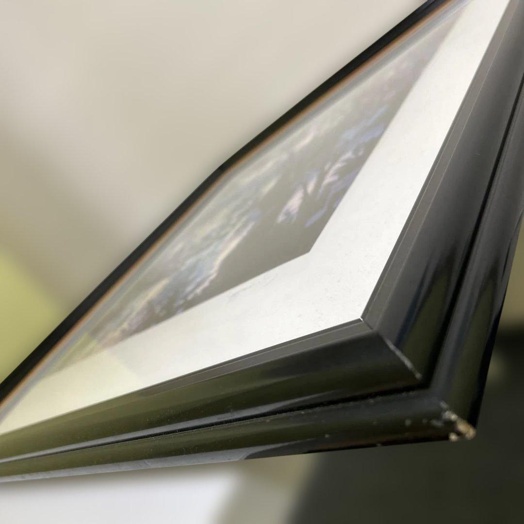 真作　笹倉鉄平 ヴァイオリンの森に シルクスクリーン 保証書付