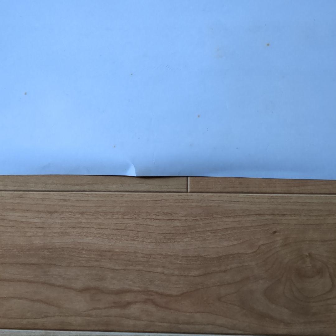 [希少]１９９２年 THE YELLOW MONKEY ポスター デビュー告知