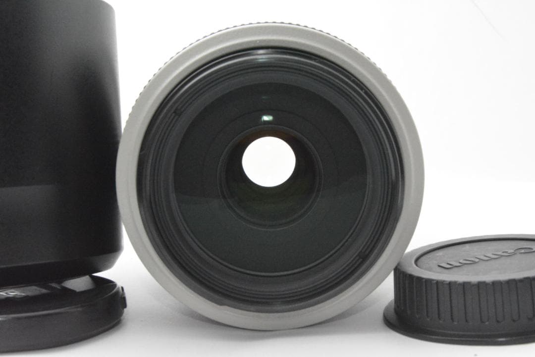 キャノン CANON EF 70-300mm F4-5.6L IS USM