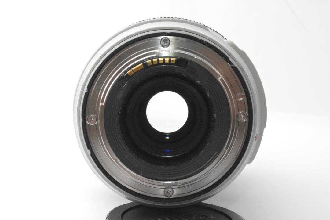 キャノン CANON EF 70-300mm F4-5.6L IS USM