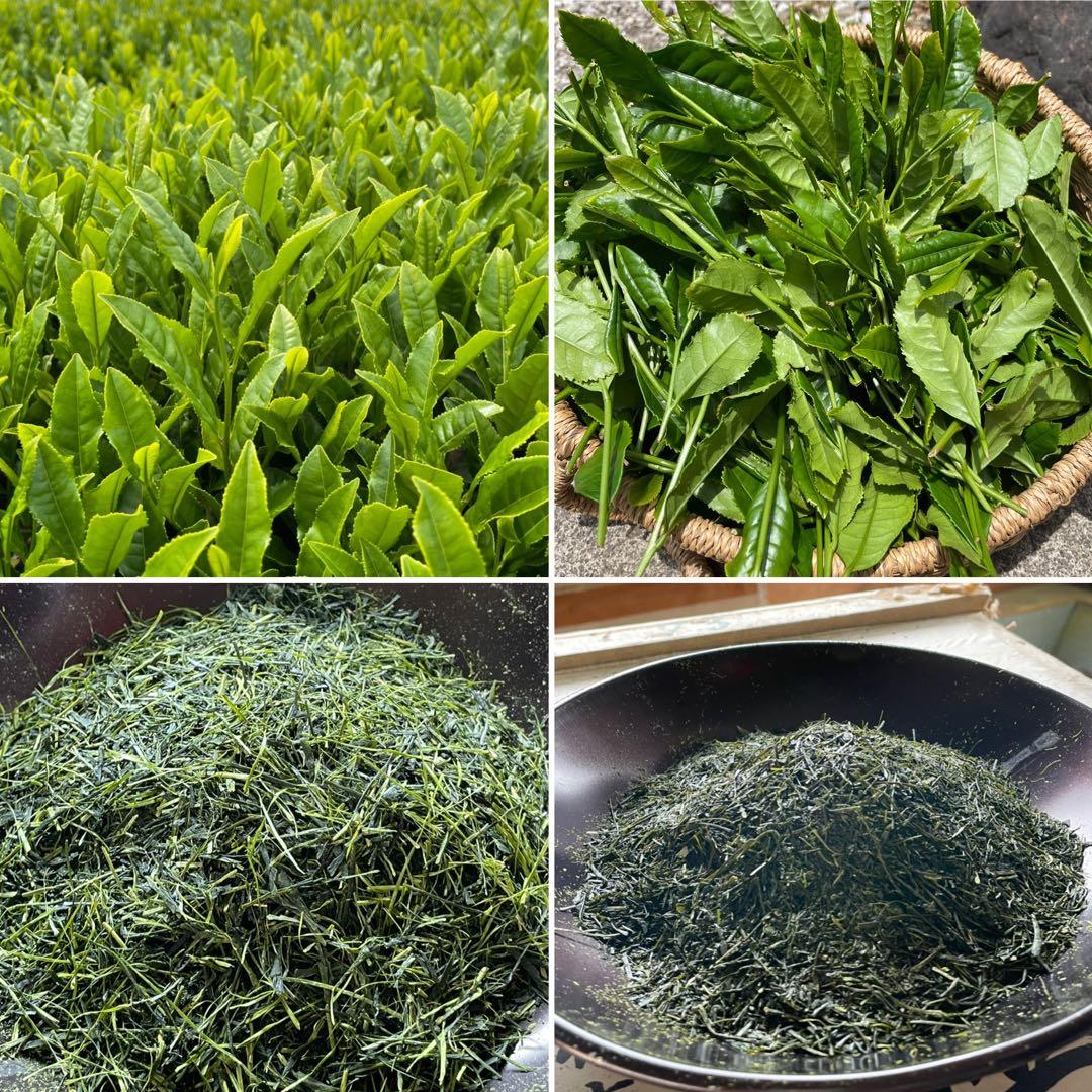 【狭山茶】茶畑直販☆煎茶１袋(令7産)2.5kg一番茶☆深蒸し緑茶日本茶無添加