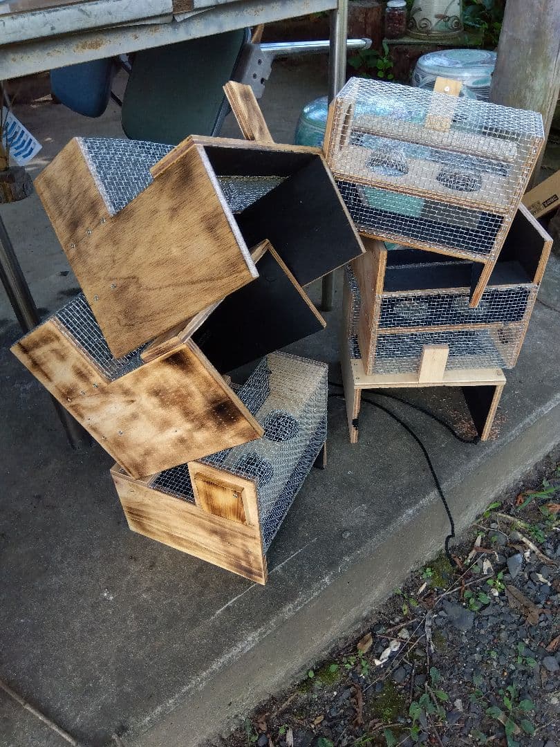 スズメバチトラップ ２個売り 別名 スズメバチ捕獲器 スズメバチ生捕り器