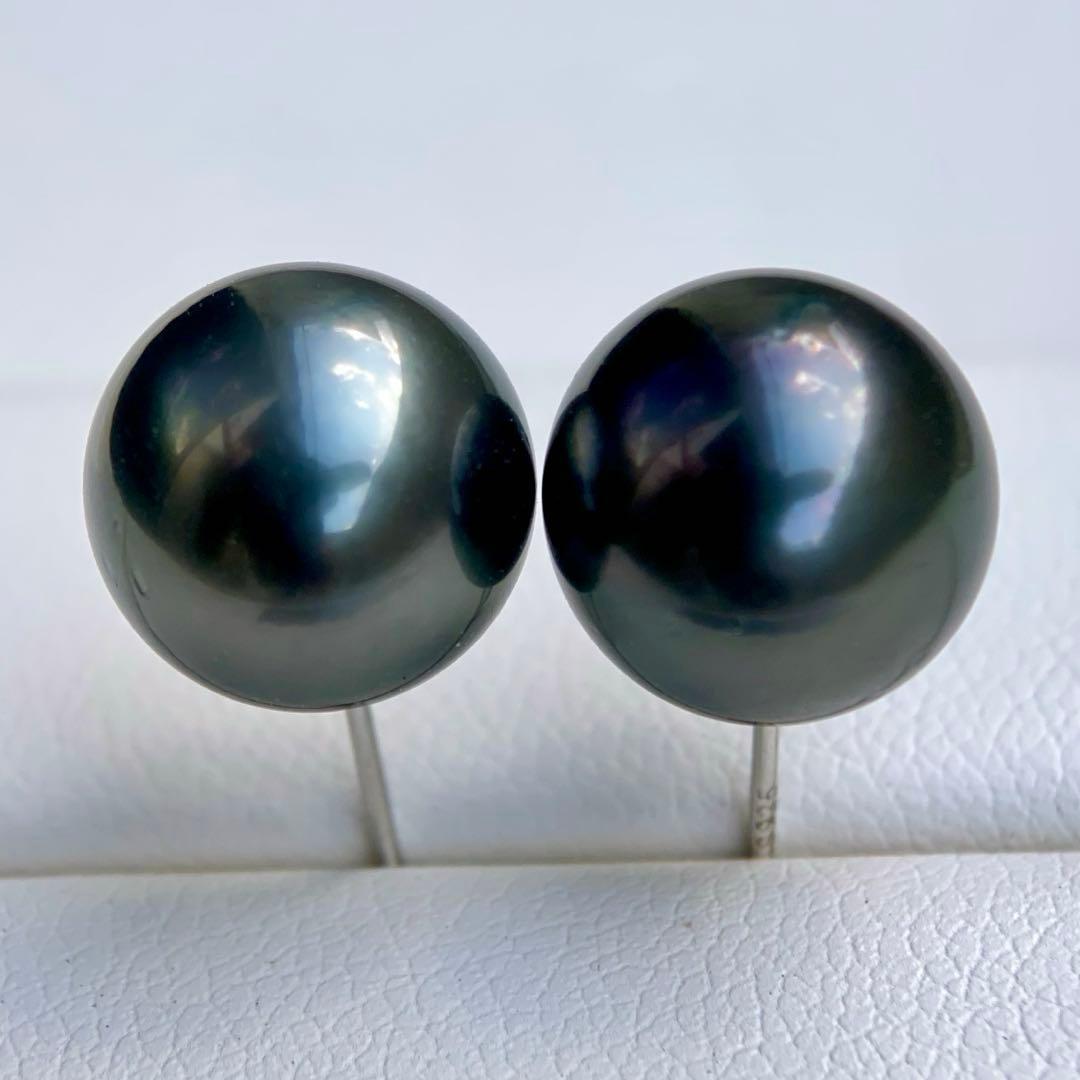 本真珠南洋黒蝶真珠　大玉11.08㍉s925直結ピアスBL916